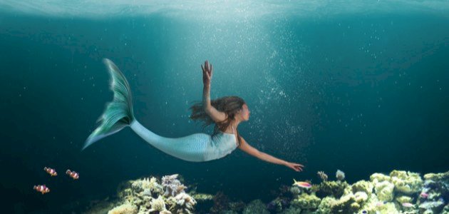 The Enchanted Mermaid: A Story of Courage and Kindness