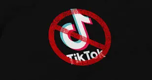 Why Is TikTok Facing Bans in Multiple Countries? | Explained